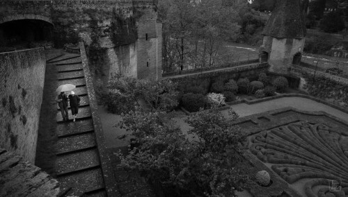 2k-albi-public-garden.jpg