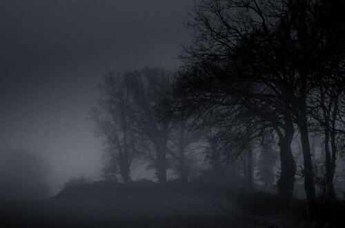2k-brouillard-givrant-1.jpg