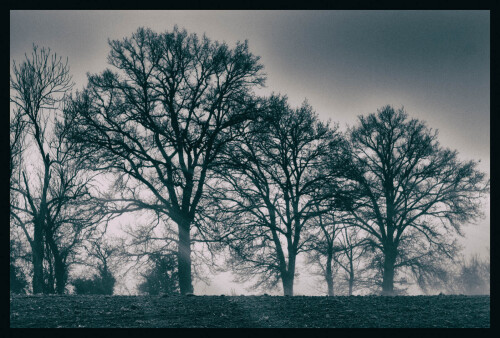 2k-brouillard-givrant-3.jpg