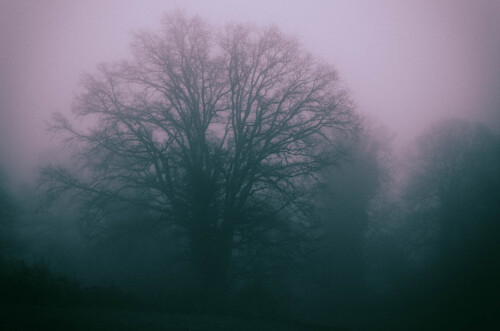 2k-brouillard-givrant-5.jpg