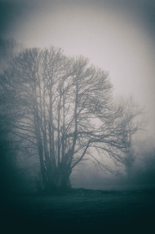 2k-brouillard-givrant-8.jpg