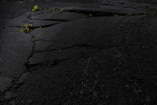 2k-lava-garden-4.jpg