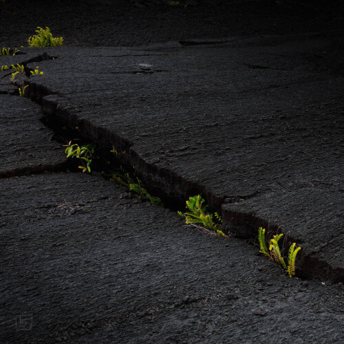 2k-lava-garden-5.jpg