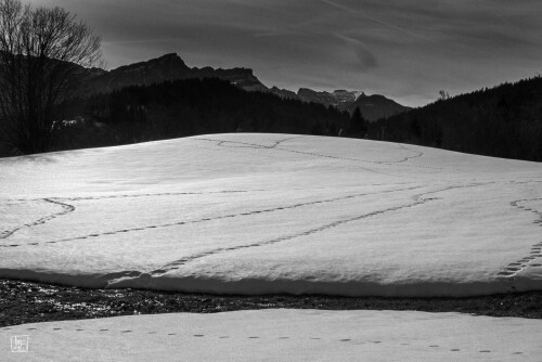 2k-snow-contrast-2.jpg