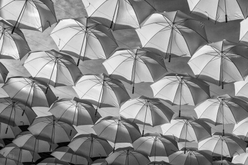 2k-umbrellas.jpg